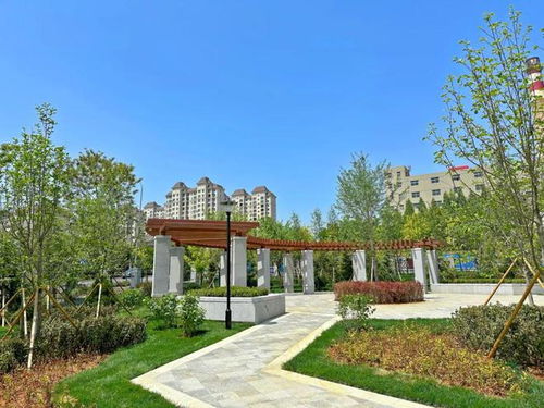 旅順這個(gè)產(chǎn)業(yè)園區(qū)景觀工程完工,來(lái)看看咋樣