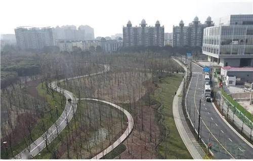 24公頃 浦東文化公園景觀提升工程竣工,上海再添森林景觀