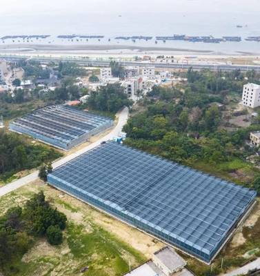 茂名西葛“百千萬(wàn)工程”示范點(diǎn) 新晉“城市陽(yáng)臺(tái)”網(wǎng)紅打卡地